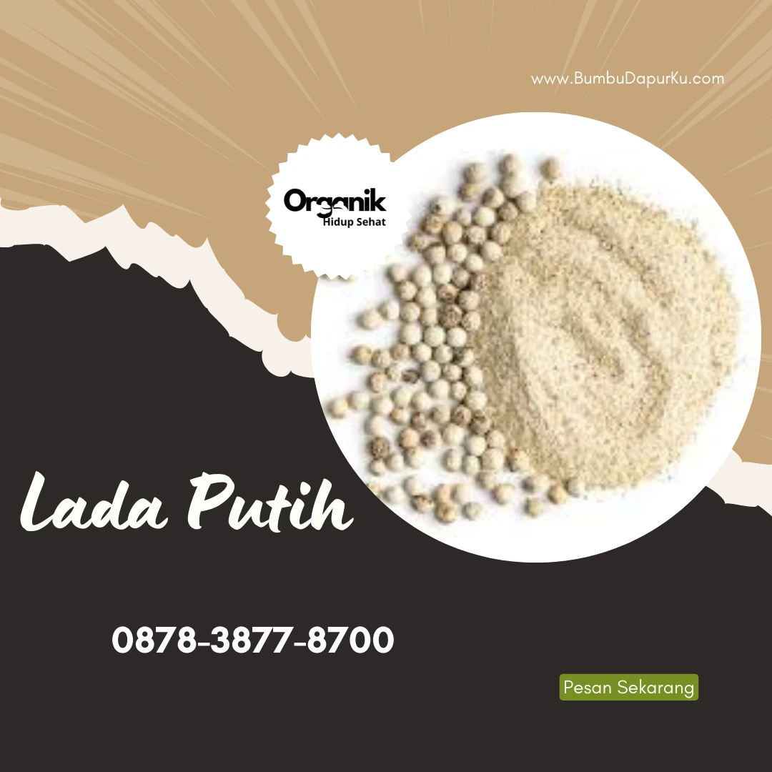 Lada Putih Harga Grosir - UD Bumbu Dapurku Jogja